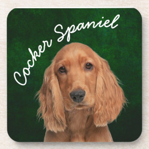 Cocker Spanischer Getränkekasten Getränkeuntersetzer