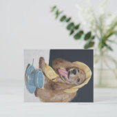 Cocker Spanischer Hund Postkarte (Stehend Vorderseite)