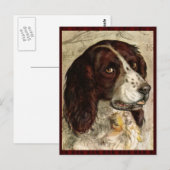 Cocker Spanischer Hund Print Postkarte (Vorne/Hinten)