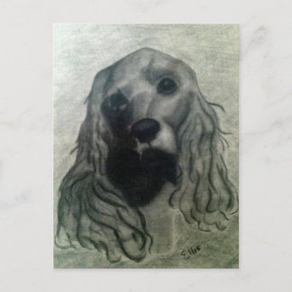 Cocker Zeichnend, Claire Postkarte