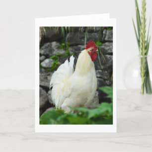 Cockerel auf Madeira Feiertagskarte