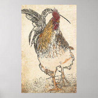 Cockerel Poster