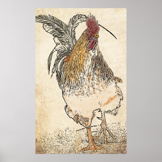 Cockerel Poster (Vorne)