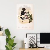 Cockerells Fantail Flycatcher von John Gould Poster (Heimbüro)
