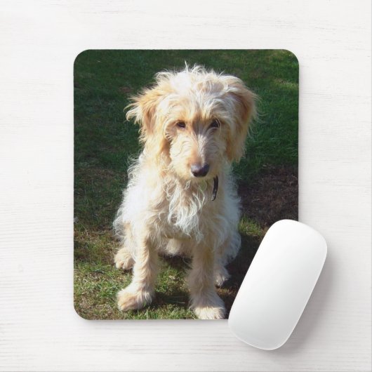 cockerpoo Welpe Mousepad (Mit Mouse)