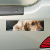 Cockerspaniel-Autoaufkleber Autoaufkleber (Auf Auto)