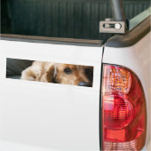 Cockerspaniel-Autoaufkleber Autoaufkleber (Auf Lkw)