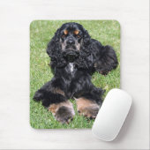 Cockerspaniel-Foto Mousepad (Mit Mouse)