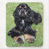 Cockerspaniel-Foto Mousepad (Vorne)