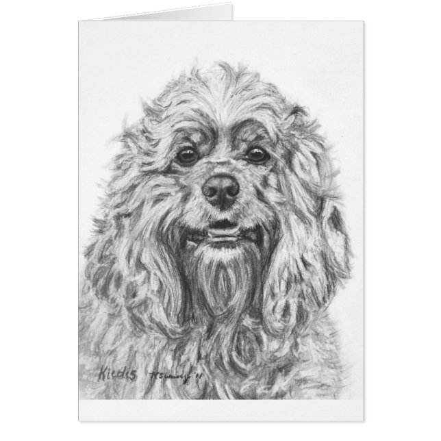 Cockerspaniel-Holzkohlen-Zeichnen (Vorne)