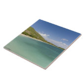 Cockleshell Bay, südöstliche Halbinsel, St. Kitts, Fliese (Seite)