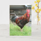 Cockrel Karte (Gelbe Blume)