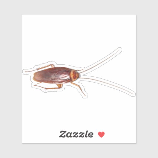 Cockroach Roach Aufkleber (Blatt)