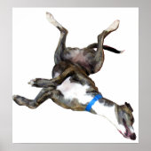 Cockroaching Poster (Vorne)