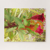 COCKSCOMB-BLUME PUZZLE (Horizontal)