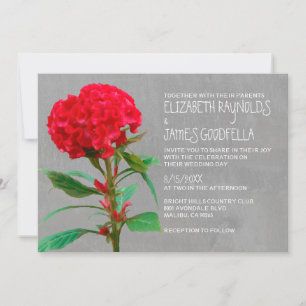 Cockscomb Hochzeit Einladungen