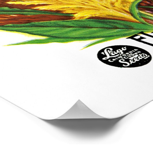 Cockscomb Poster (Ecke)