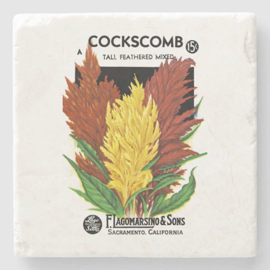 Cockscomb Steinuntersetzer (Vorderseite)