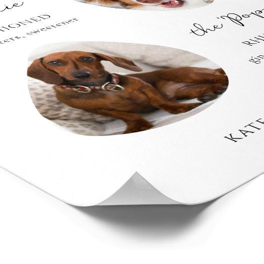 Cocktail Drinks Bar-Zeichen für benutzerdefinierte Poster (Ecke)