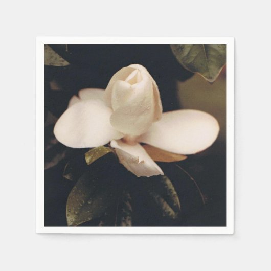 Cocktail Napkins mit Magnolia Blossom Design Serviette (Vorderseite)