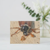 Cocktails Postkarte (Stehend Vorderseite)