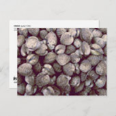 Cocktails Postkarte (Vorne/Hinten)