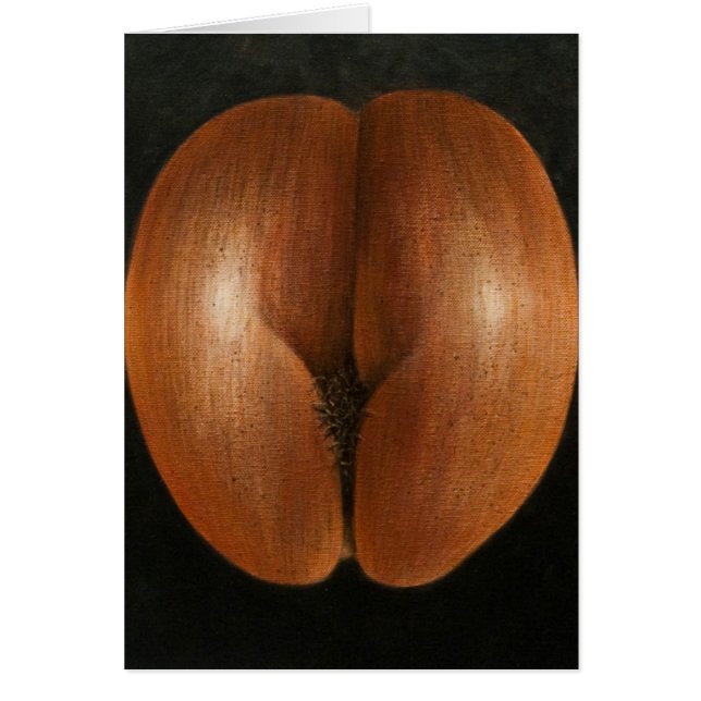 Coco de Mer 2010 (Vorne)