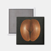 Coco de Mer 2010 Magnet (Vorderseite/Rückseite)