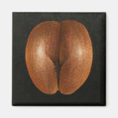 Coco de Mer 2010 Magnet (Vorne)