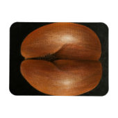 Coco de Mer 2010 Magnet (Horizontal)