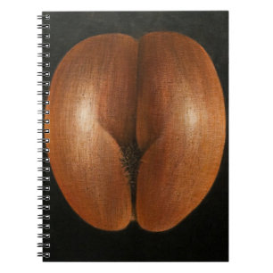Coco de Mer 2010 Notizblock