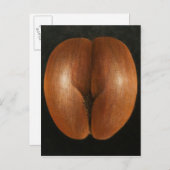 Coco de Mer 2010 Postkarte (Vorne/Hinten)