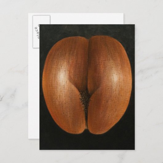 Coco de Mer 2010 Postkarte (Vorne/Hinten)