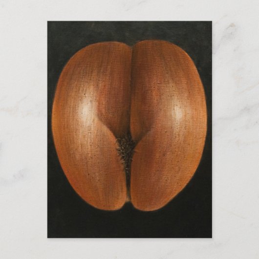 Coco de Mer 2010 Postkarte (Vorderseite)