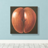 Coco de Mer Maldives 2012 Leinwanddruck (Insitu (Holzboden))