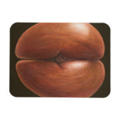 Coco de Mer Maldives 2012 Magnet (Horizontal)