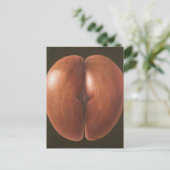 Coco de Mer Maldives 2012 Postkarte (Stehend Vorderseite)