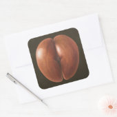 Coco de Mer Maldives 2012 Quadratischer Aufkleber (Umschlag)