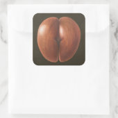 Coco de Mer Maldives 2012 Quadratischer Aufkleber (Tasche)