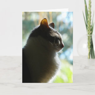 "Coco in the Window" Grußkarte Karte