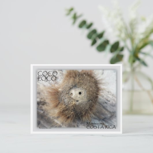 COCO LOCO NUT POSTKARTE (Stehend Vorderseite)