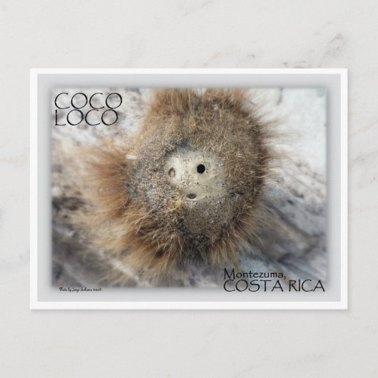 COCO LOCO NUT POSTKARTE (Vorderseite)
