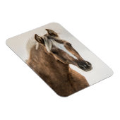 Coco Mustang Filly Magnet (Rechte Seite)