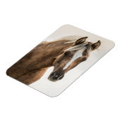 Coco Mustang Filly Magnet (Linke Seite)