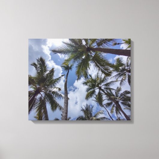 COCO PALMS #2 AUF LEINWAND 20 "x 16" (Vorderseite)