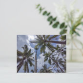 COCO PALMS #2 Postkarte (Stehend Vorderseite)