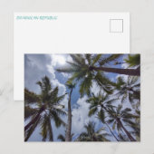COCO PALMS #2 Postkarte (Vorne/Hinten)