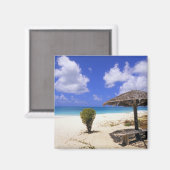 Coco Point Beach, Barbuda, Antigua Magnet (Vorderseite/Rückseite)