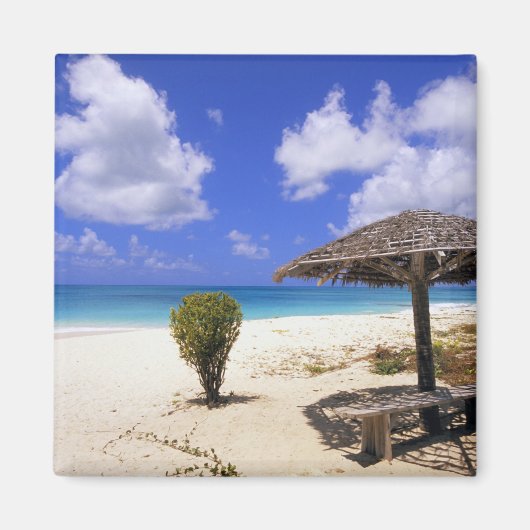 Coco Point Beach, Barbuda, Antigua Magnet (Vorne)