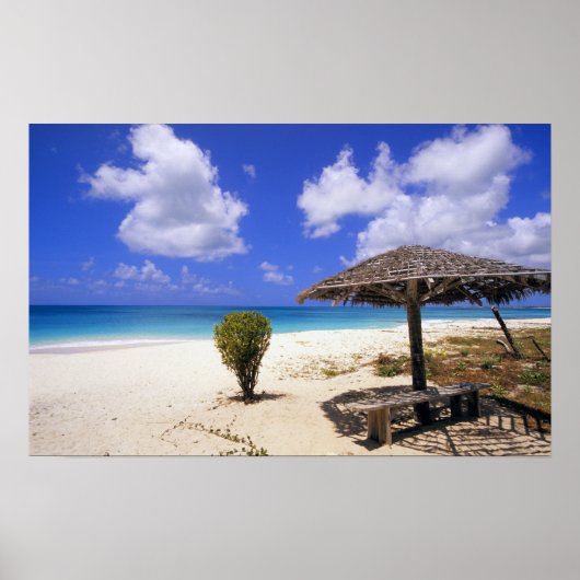 Coco Point Beach, Barbuda, Antigua Poster (Vorne)